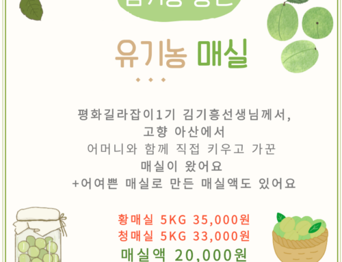 서울KYC재정참여 캠페인-당근마켓